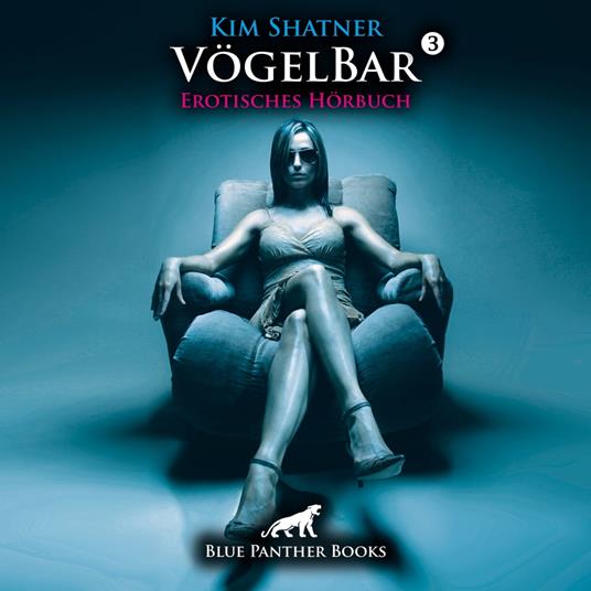 VögelBar 3 / Erotik Audio Story / Erotisches Hörbuch