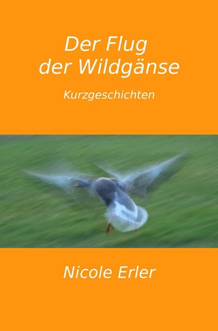 Der Flug der Wildgänse