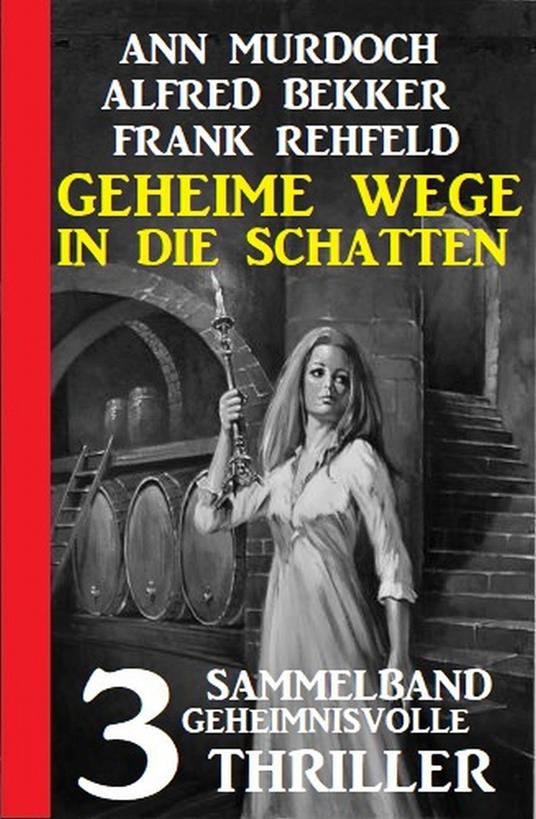 Geheime Wege in die Schatten: Sammelband 3 geheimnisvolle Thriller