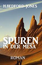 Spuren in der Mesa: Roman