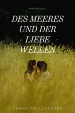 Des Meeres und der Liebe Wellen