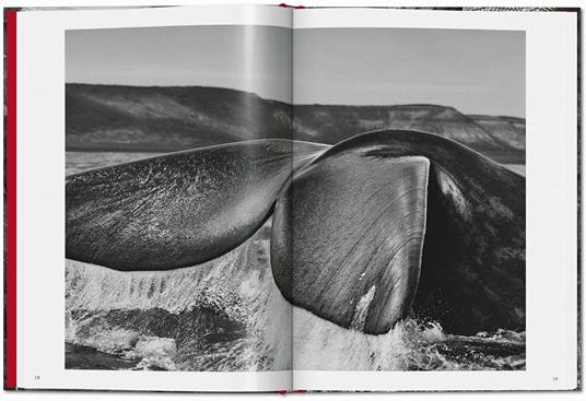 Sebastião Salgado. Genesis. Ediz. italiana - 3