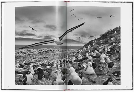 Sebastião Salgado. Genesis. Ediz. italiana - 4