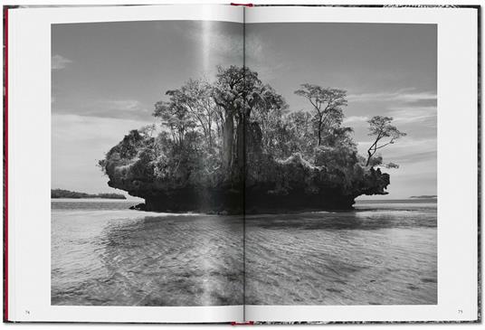 Sebastião Salgado. Genesis. Ediz. italiana - 6