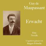 Guy de Maupassant: Erwacht