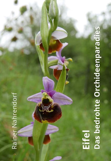 Eifel - Das bedrohte Orchideenparadies