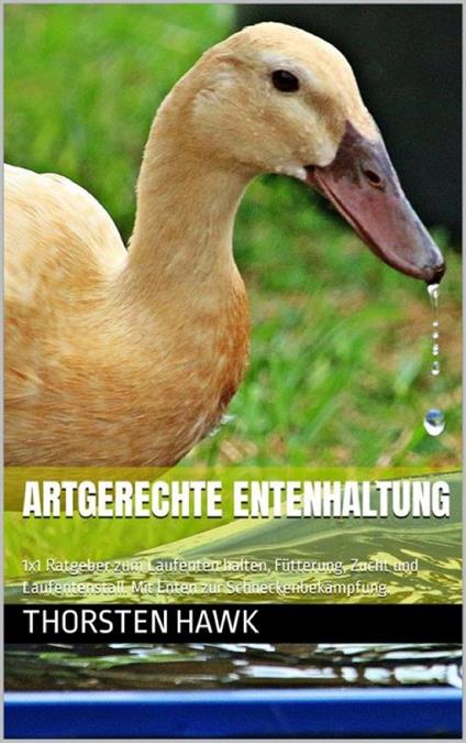 Artgerechte Entenhaltung