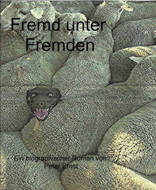 Fremd unter Fremden