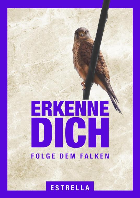 Erkenne Dich Folge dem Falken