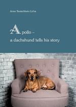 Apollo - a dachshund tells his story