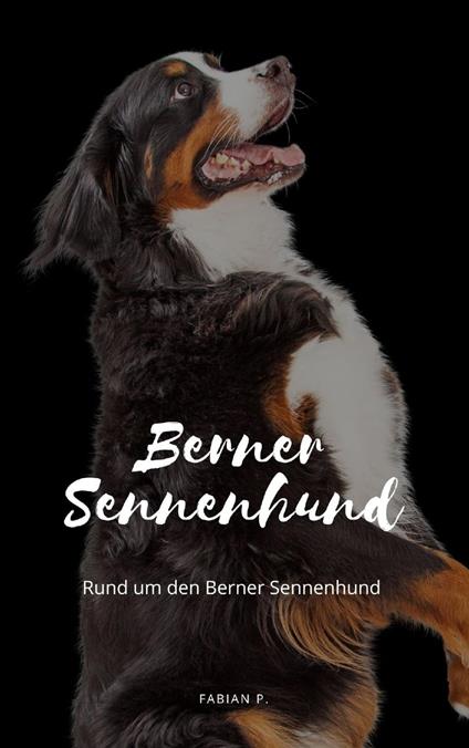 Berner Sennenhund