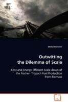 Outwitting the Dilemma of Scale