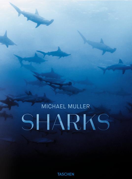 Michael Muller. Sharks. Ediz. inglese - Philippe jr. Cousteau,Alison Kock,Arty Nelson - copertina