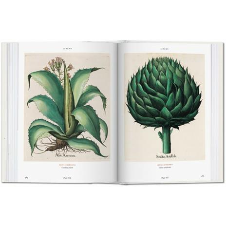 Basilius Besler's florilegium. The book of plants. Ediz. illustrata - Klaus W. Littger,Werner Dressendörfer - 4