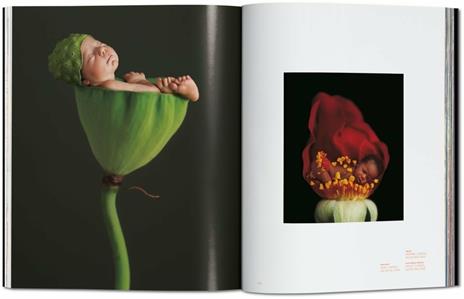 Small world. Ediz. italiana, spagnola e portoghese - Anne Geddes,Reuel Golden - 6