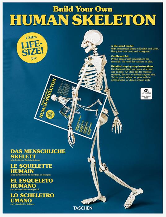 Build your own Human Skeleton. Ediz. inglese, francese e tedesca - copertina