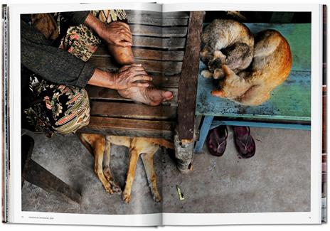 Steve McCurry. Animals. Ediz. italiana, inglese e spagnola - 4