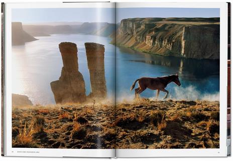 Steve McCurry. Animals. Ediz. italiana, inglese e spagnola - 5