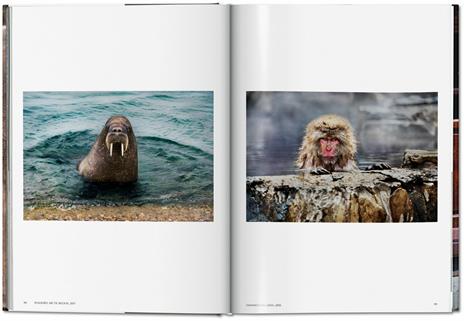 Steve McCurry. Animals. Ediz. italiana, inglese e spagnola - 6