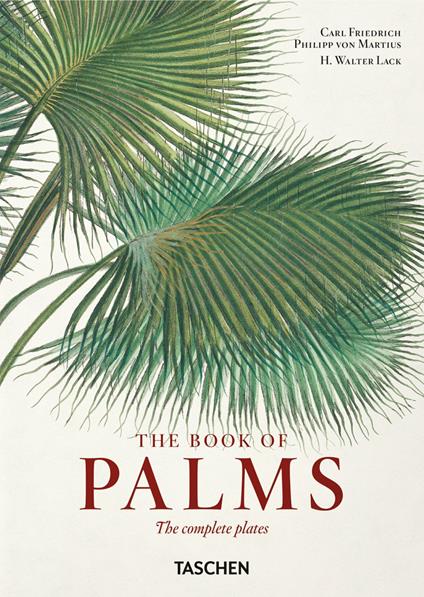 The book of palms. Ediz. inglese, italiana e spagnola. 40th Anniversary Edition - H. Walter Lack,Carl Friedrich Philipp Martius von - copertina