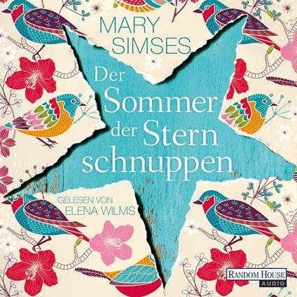 Der Sommer der Sternschnuppen