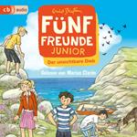 Fünf Freunde JUNIOR - Der unsichtbare Dieb