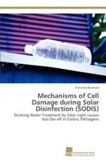 Mechanisms of Cell Damage during Solar Disinfection (SODIS)