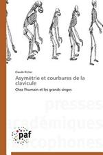 Asymetrie Et Courbures de la Clavicule