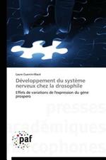 Developpement Du Systeme Nerveux Chez La Drosophile