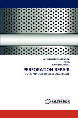 Perforation Repair - Anshuman Kharbanda,Neha,Rajnish Kansal - cover