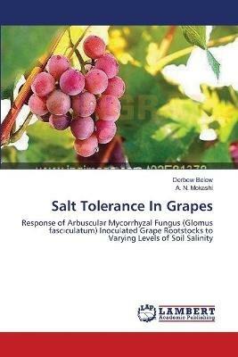 Salt Tolerance In Grapes - Derbew Belew,A N Mokashi - cover