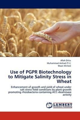 Use of PGPR Biotechnology to Mitigate Salinity Stress in Wheat - Allah Ditta,Muhammad Arshad (T I ),Wazir Ahmed - cover