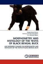 Morphometry and Histology of the Testis of Black Bengal Buck