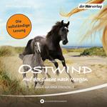 Ostwind - Auf der Suche nach Morgen