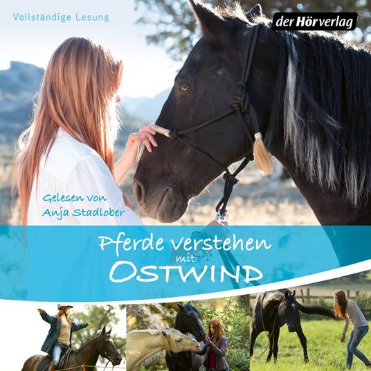 Pferde verstehen mit Ostwind