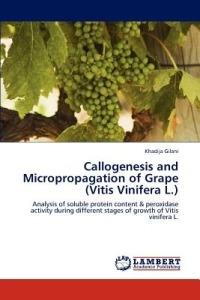 Callogenesis and Micropropagation of Grape (Vitis Vinifera L.) - Khadija Gilani - cover