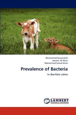 Prevalence of Bacteria - Muhammad Anwarullah,Jawaria Ali Khan,Muhammad Sarwar Khan - cover