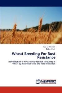 Wheat Breeding For Rust Resistance - Aziz Ur Rehman,Sadia Ajmal - cover