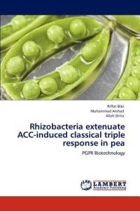 Rhizobacteria Extenuate Acc-Induced Classical Triple Response in Pea - Riffat Bibi,Muhammad Arshad,Allah Ditta - cover