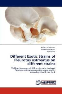 Different Exotic Strains of Pleurotus Ostrreatus on Different Strains - Hafeez Ur-Rehman,Nasir Ahmad Khan,Allah Ditta - cover