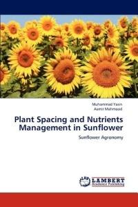Plant Spacing and Nutrients Management in Sunflower - Muhammad Yasin,Aamir Mahmood - cover