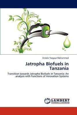 Jatropha Biofuels in Tanzania - Endale Tsegaye Mohammed - cover