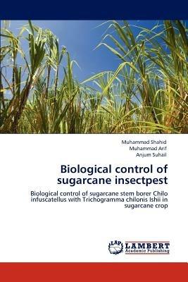 Biological control of sugarcane insectpest - Muhammad Shahid,Muhammad Arif,Anjum Suhail - cover