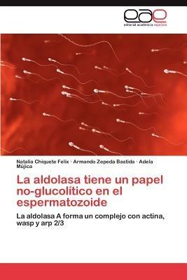 La Aldolasa Tiene Un Papel No-Glucolitico En El Espermatozoide - Natalia Chiquete Felix,Armando Zepeda Bastida,Adela M Jica - cover