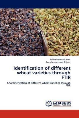 Identification of different wheat varieties through FTIR - Rai Muhammad Amir,Faqir Muhammad Anjum - cover