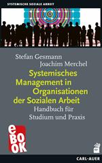 Systemisches Management in Organisationen der Sozialen Arbeit