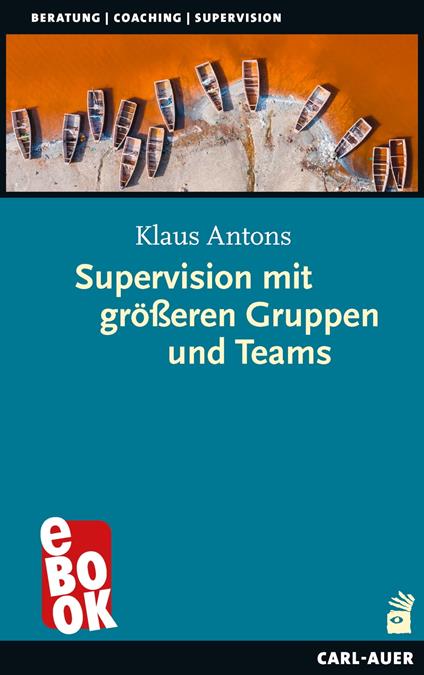 Supervision mit größeren Gruppen und Teams