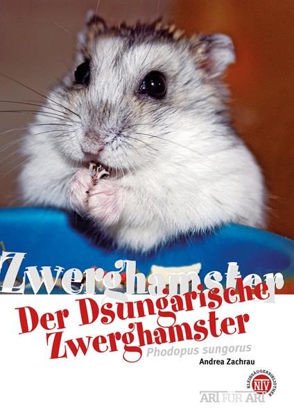 Der Dsungarische Zwerghamster