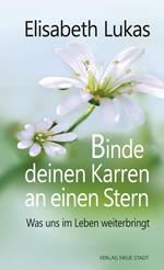 Binde deinen Karren an einen Stern