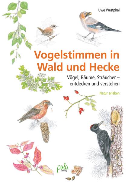 Vogelstimmen in Wald und Hecke